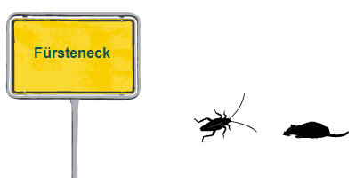 Kammerjäger Fürsteneck Kammerjäger Fürsteneck