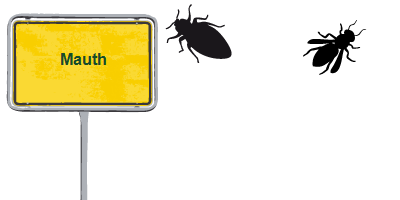 Kammerjäger Mauth Kammerjäger Mauth